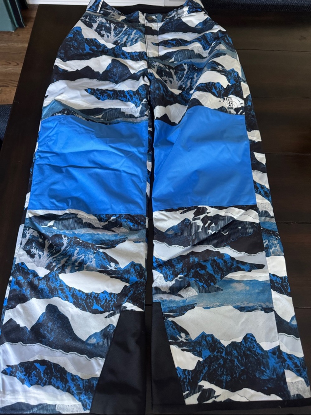NWOT The North Face Snow Pants